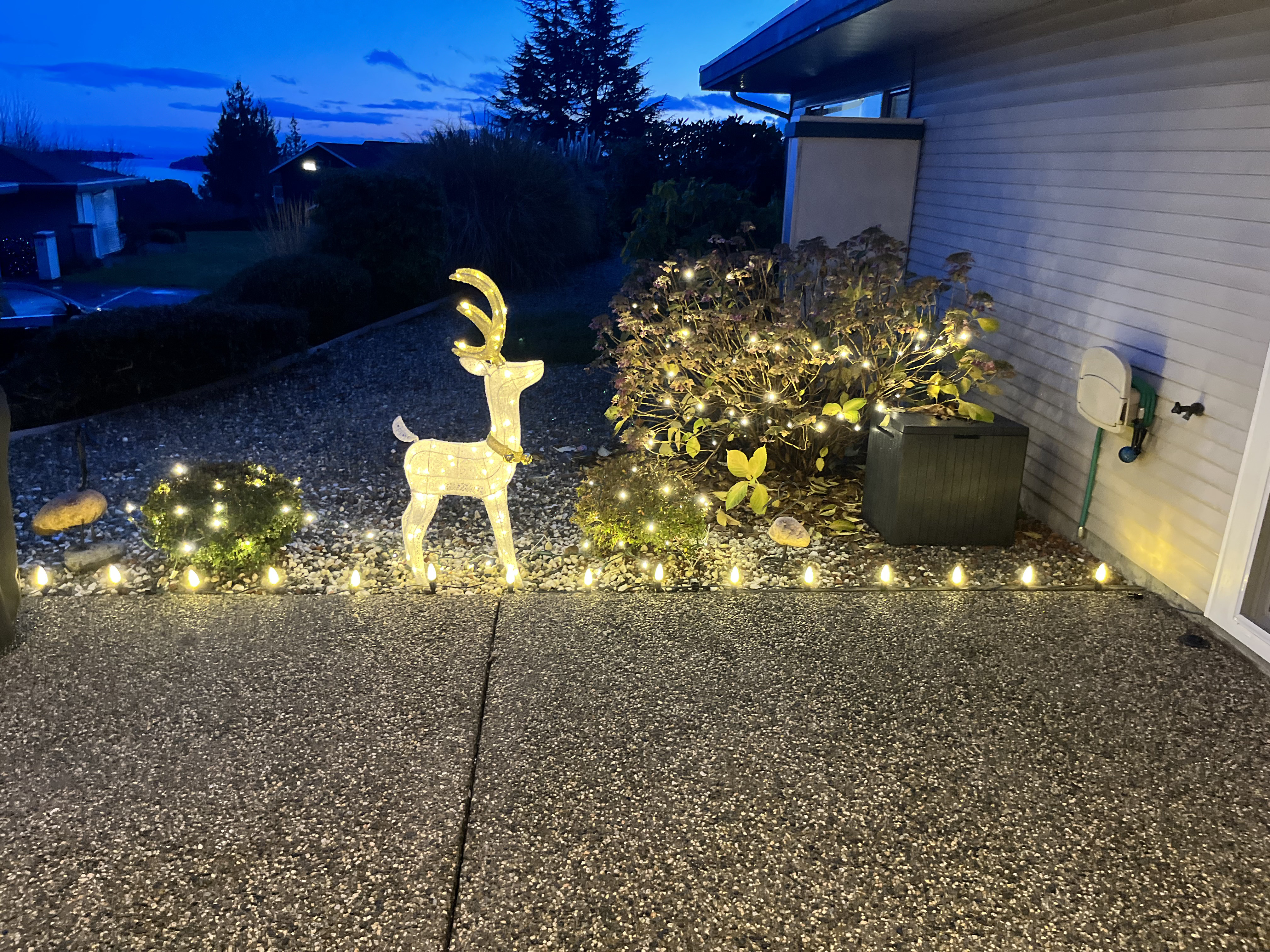 Christmas reindeer yard display Gibsons BC